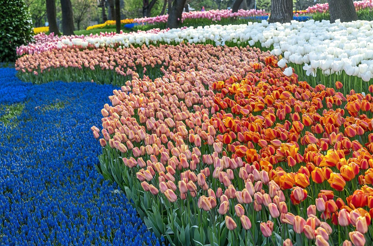 VICTOR Big Department Store -VICTOR Big Department Store 215