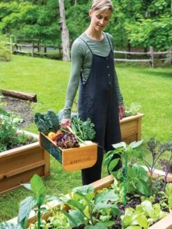 Garden Hods -VICTOR Big Department Store 39 761 0146 tif