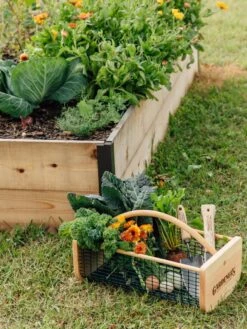 Garden Hods -VICTOR Big Department Store 39 761 572 tif