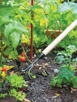 Gardener's Lifetime Long-Handled Double Tool -VICTOR Big Department Store 3 4 crop 8592107 2460 tif