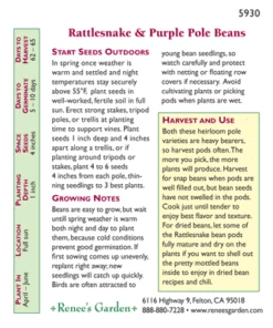 Renee's Garden Bean Pole Rattlesnake Ice & Purple Pod (Heirloom) -VICTOR Big Department Store 4176 pb