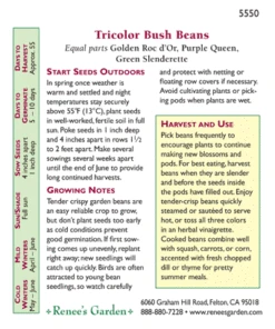 Renee's Garden Bean Bush Tricolor Gold Purple & Green -VICTOR Big Department Store 5550 pb