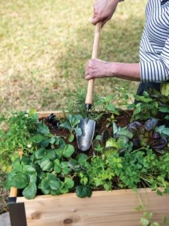 Gardener's Lifetime Raised Bed Trowel -VICTOR Big Department Store 8588014 4084 tif