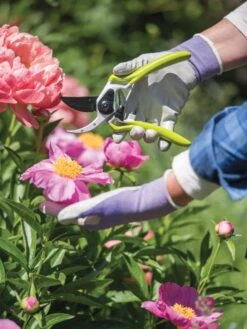 Gardener's Pro Pruner #2 -VICTOR Big Department Store 8596605 1261 tif