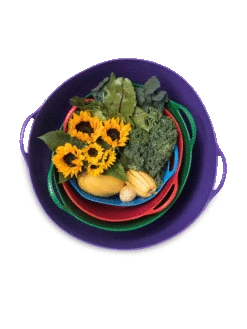 Colorful Tubtrug, 3-1/2 Gallon -VICTOR Big Department Store 8599088 20GalTubTrug gif 1