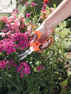 Gardener's Multi Purpose Scissors -VICTOR Big Department Store 8608655 19551 tif