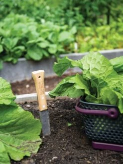 Gardener's Lifetime Hori Hori Knife