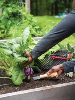 Gardener's Lifetime Hori Hori Knife -VICTOR Big Department Store 8608888 0422 tif