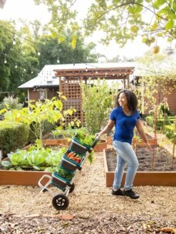 Mod Hod Trolley With Teal Mod Hods -VICTOR Big Department Store 8610240 0070 tif