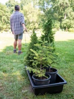 Gardener's Summer Sled And Cover 9 Gardener's Summer Sled And Cover -VICTOR Big Department Store 8611044 229 tif