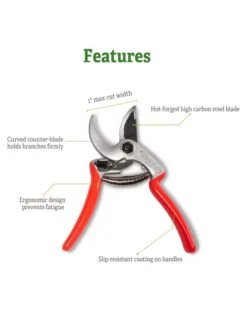 Castellari Mini Anvil Pruner -VICTOR Big Department Store 8612199 5