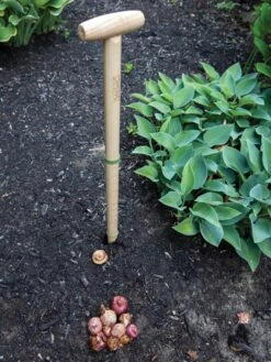 Wicked Big Dibber 10 Wicked Big Dibber -VICTOR Big Department Store 8612667 0028