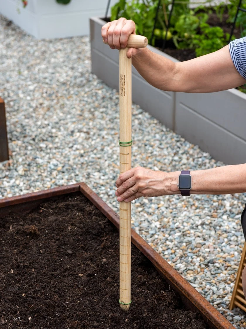 Wicked Big Dibber 3 Wicked Big Dibber