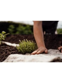 Hortiwool ®, Starter Garden Pad -VICTOR Big Department Store 8613263 09v