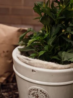 Hortiwool ®, 5 Pad Pack -VICTOR Big Department Store 8613263 17v