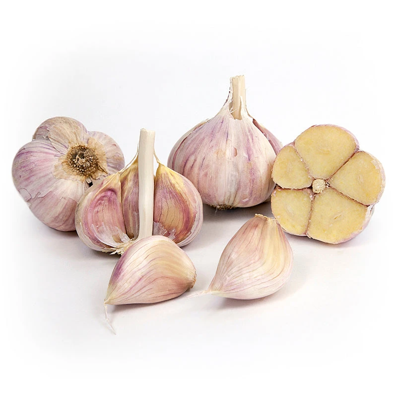 Organic Garlic, German White (lb) 3 Organic Garlic, German White (lb)