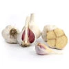 Organic Garlic, Music (lb) -VICTOR Big Department Store Organic Music Garlic