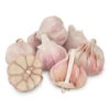 Organic Garlic, Red Chesnok (lb) -VICTOR Big Department Store Organic Red Chesnok Garlic