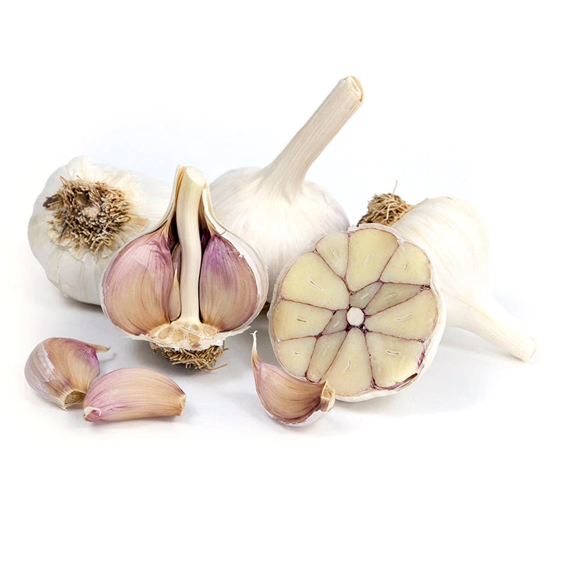 Organic Garlic, Spanish Roja (1/2 Lb) 3 Organic Garlic, Spanish Roja (1/2 Lb)