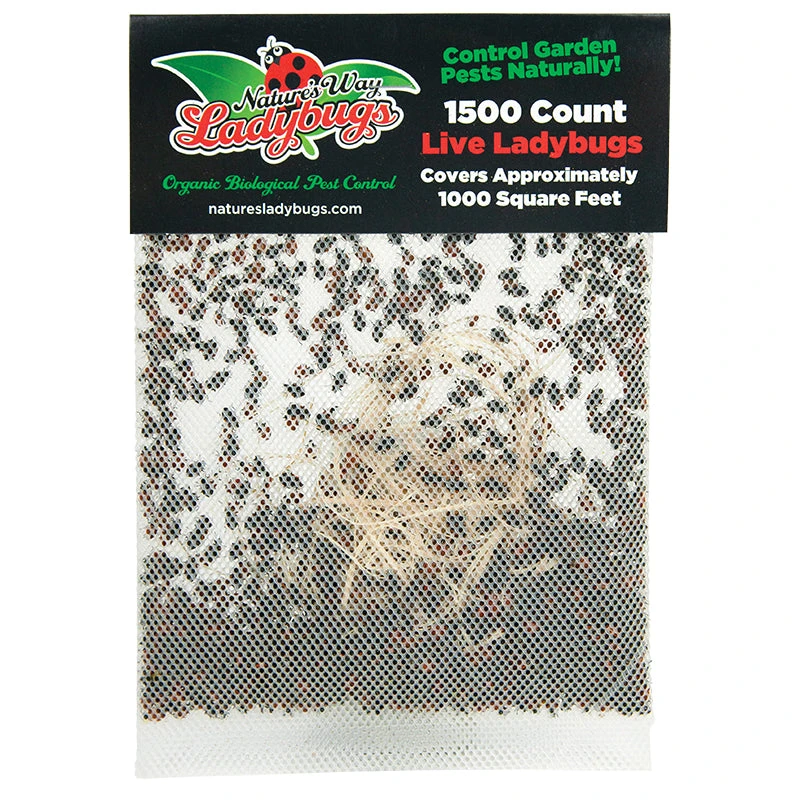 Ladybugs (Netted Bag Of 1,500) - Store Pickup 4 Ladybugs (Netted Bag Of 1,500) - Store Pickup - Image 2