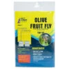 Pest Wizard Olive Fruit Fly Trap Kit 2 Pest Wizard Olive Fruit Fly Trap Kit -VICTOR Big Department Store Pest Wizard Olive Fruit Fly Trap Kit 1