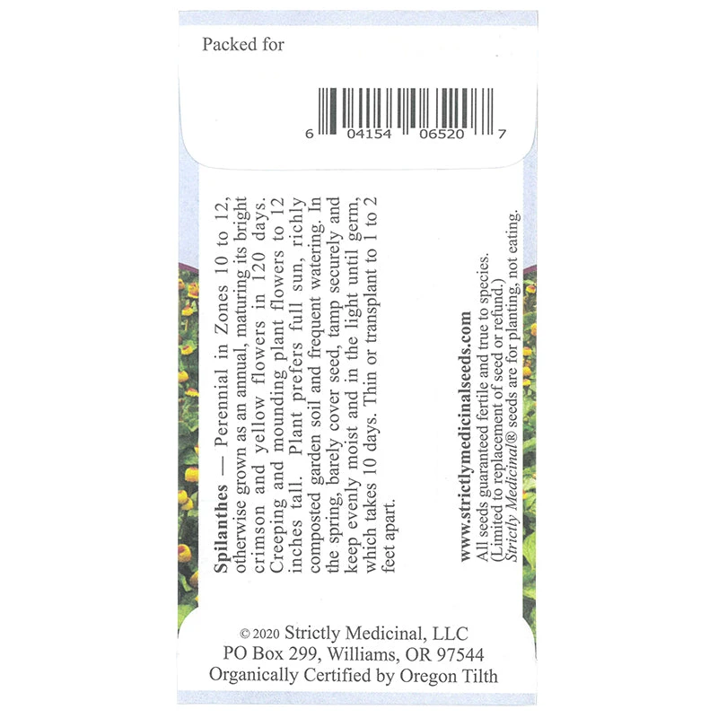 Strictly Medicinal Organic Spilanthes 4 Strictly Medicinal Organic Spilanthes - Image 2