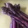Asparagus Sweet Purple -VICTOR Big Department Store asparagus sweet purple bundle of 10