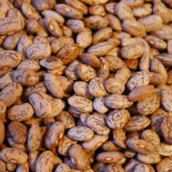 Pinto Bean Seeds (Organic) -VICTOR Big Department Store beans web