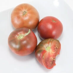Organic Tomato, Black Krim (1 Oz) -VICTOR Big Department Store black krim 3 web 1