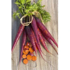Cosmic Purple Carrot Seeds (Organic) -VICTOR Big Department Store carrot cosmic purple 1