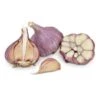Conventionally Grown Garlic, Bogatyr (lb) 1 Conventionally Grown Garlic, Bogatyr (lb) -VICTOR Big Department Store conventionally grown garlic bogatyr lb