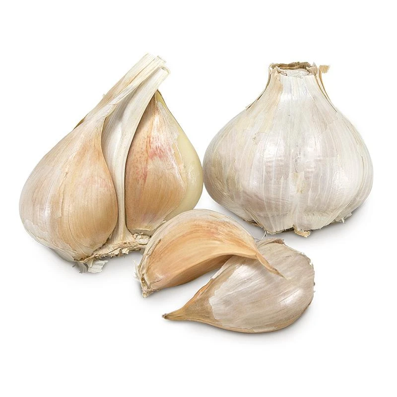 Conventionally Grown Garlic, Elephant (lb) 3 Conventionally Grown Garlic, Elephant (lb)