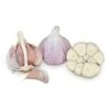 Conventionally Grown Garlic, Georgian Fire (lb) -VICTOR Big Department Store conventionally grown garlic georgian fire lb