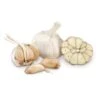 Conventionally Grown Garlic, German Red (lb) -VICTOR Big Department Store conventionally grown garlic german red lb