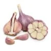 Conventionally Grown Garlic, Purple Glazer (lb) -VICTOR Big Department Store conventionally grown garlic purple glazer lb