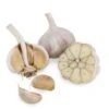 Conventionally Grown Garlic, Purple Italian (lb) -VICTOR Big Department Store conventionally grown garlic purple italian lb