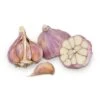 Conventionally Grown Garlic, Russian Red (lb) 1 Conventionally Grown Garlic, Russian Red (lb) -VICTOR Big Department Store conventionally grown garlic russian red lb
