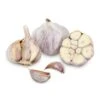 Conventionally Grown Garlic, Siberian (lb) -VICTOR Big Department Store conventionally grown garlic siberian lb