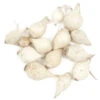 Onion Sets Dutch - White Snowball (Pack Of 75) -VICTOR Big Department Store fp075 web 97a4842e 2be0 437b 9557 309bd7e77a5c