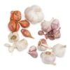 Garlic Combo Pack -VICTOR Big Department Store garlic combo pack