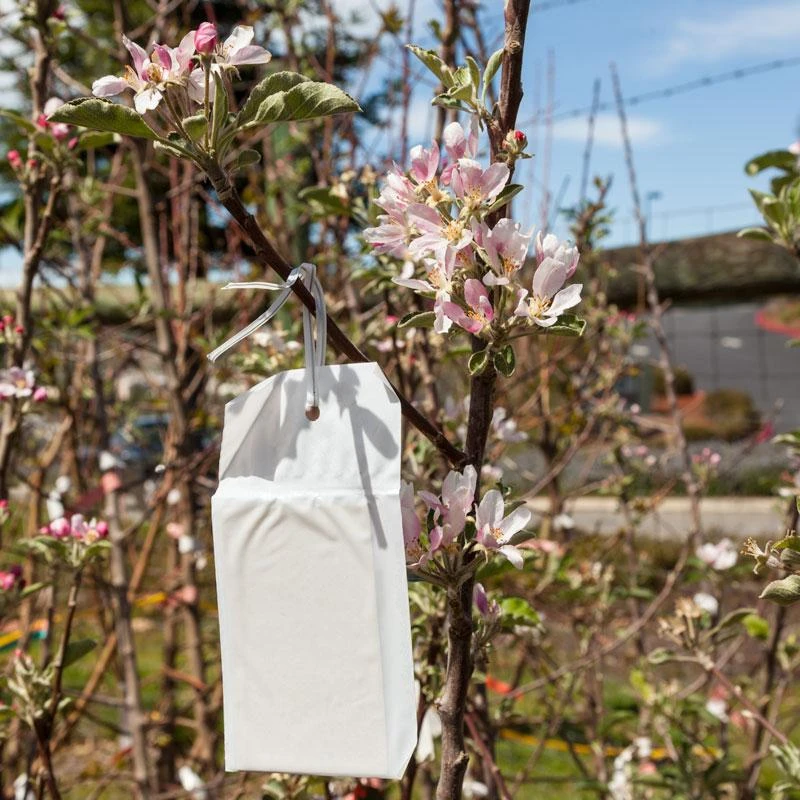 Honey Bee Lure 3 Honey Bee Lure