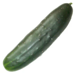 Marketmore 76 Cucumber Seeds (Organic) -VICTOR Big Department Store marketmore web
