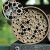 Mason Bee Kit 68 Tubes 2 Mason Bee Kit 68 Tubes -VICTOR Big Department Store mason bee kit 68 tubes