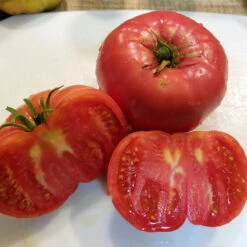 Mortgage Lifter Tomato Seeds (Organic) -VICTOR Big Department Store mortgage lifter web sliced