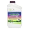 Ecoworks EC (32 Ounce) (OID DUAL) -VICTOR Big Department Store oid dual ecoworks ec 32 oz
