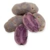 Fall-Planted Organic All Blue Seed Potatoes (lb) -VICTOR Big Department Store organic all blue seed potatoes lb