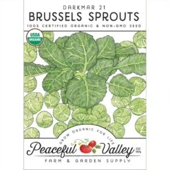 Darkmar 21 Brussels Sprouts Seeds (Organic)