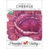 Express Red Cabbage Seeds (Organic) -VICTOR Big Department Store organic cabbage express red