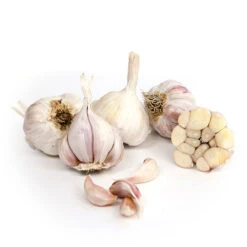 Organic Garlic, California Late White (lb)