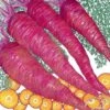 Organic Carrot, Dragon (1 Oz) -VICTOR Big Department Store organic carrot dragon 1 oz
